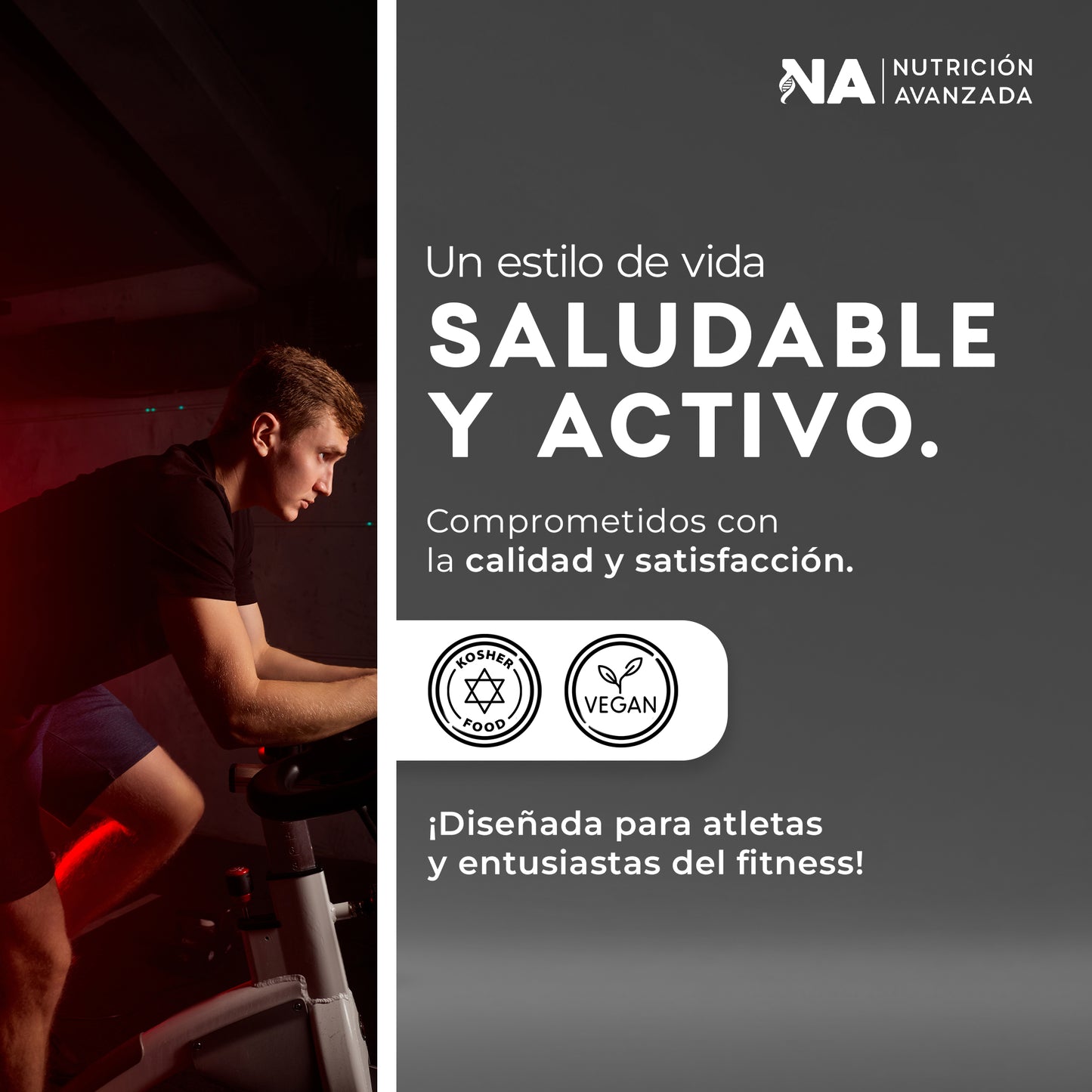 Creatina